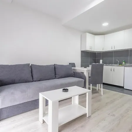 Centar لوزنيكا