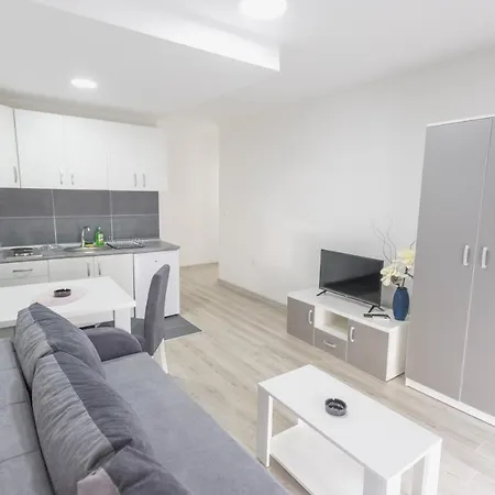 شقة فندقية Centar لوزنيكا