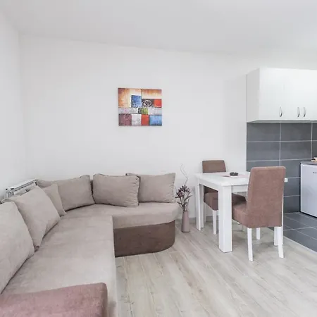 شقة فندقية Centar لوزنيكا