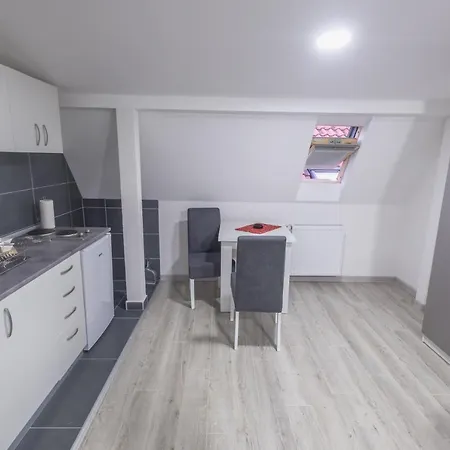 Centar لوزنيكا