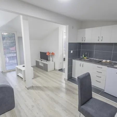 شقة فندقية Centar لوزنيكا