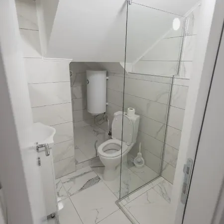 Centar لوزنيكا