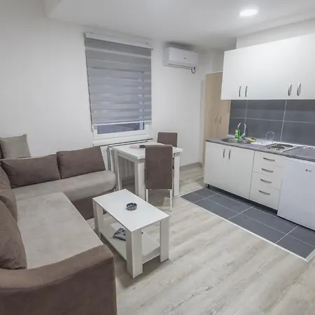 Centar لوزنيكا