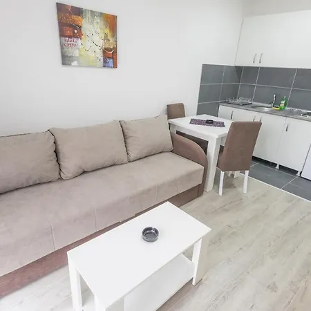 شقة فندقية Centar لوزنيكا