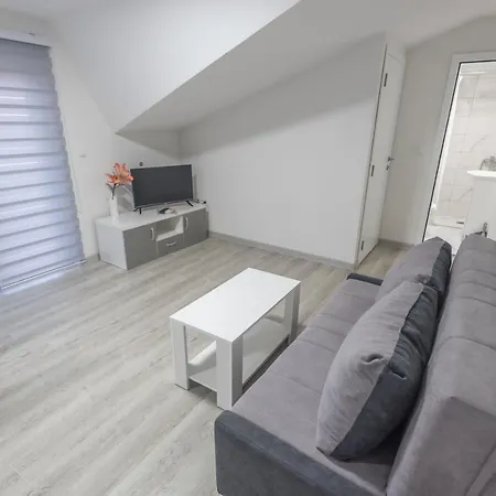 Centar لوزنيكا