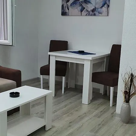 Centar Loznica